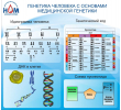 059_1300х1200 - генетика человека с основами медицинской генетики